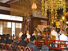 駆除したその後は?供養の様子