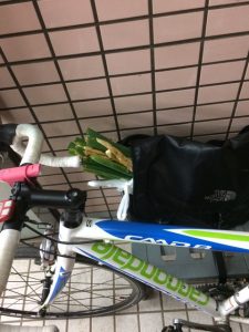 東京都八王子市 アライグマ駆除