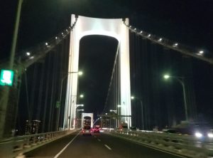 千葉県千葉市　ハクビシン駆除