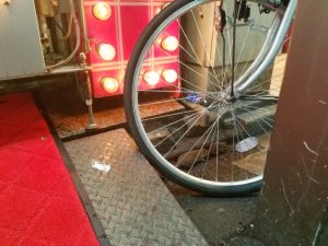 東京都某所のネズミたち
