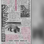 夕刊フジ2018年10月31日ハクビシン被害記事内コメント掲載