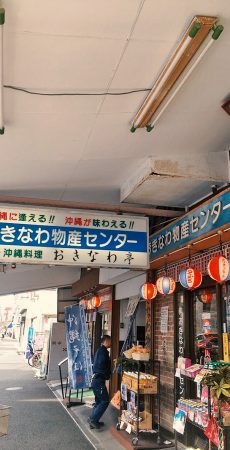 神奈川県 横浜市鶴見区 ハクビシン駆除