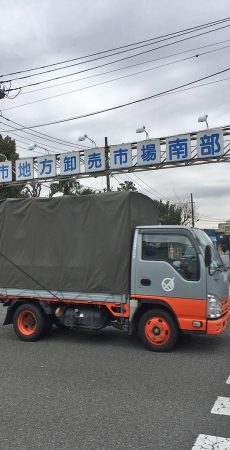 神奈川県横浜市鶴見区 ハクビシン駆除