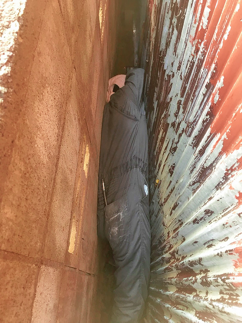 ハクビシン 駆除 aaa