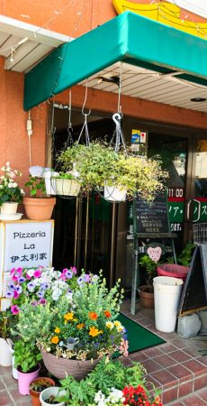 埼玉県 岩槻区 ハクビシン駆除