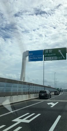千葉県千葉市 ハクビシン駆除