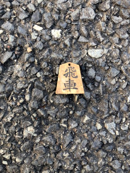 神奈川県　川崎市　ハクビシン駆除