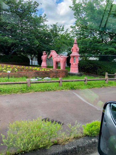 千葉県　松戸市　ハクビシン駆除