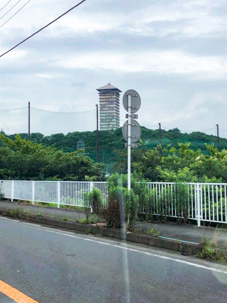 神奈川県　横浜市　ハクビシン駆除