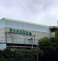 東京都 台東区 ハクビシン駆除