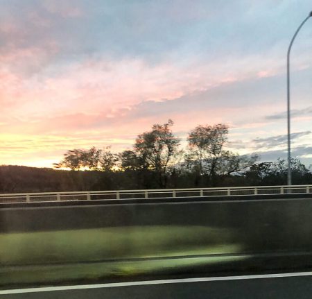 埼玉県　飯能市　ハクビシン駆除