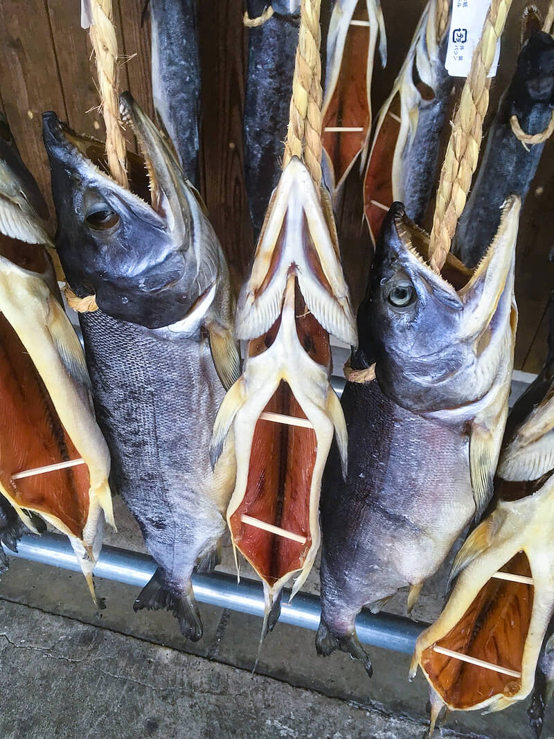 ハクビシン 駆除 aaa